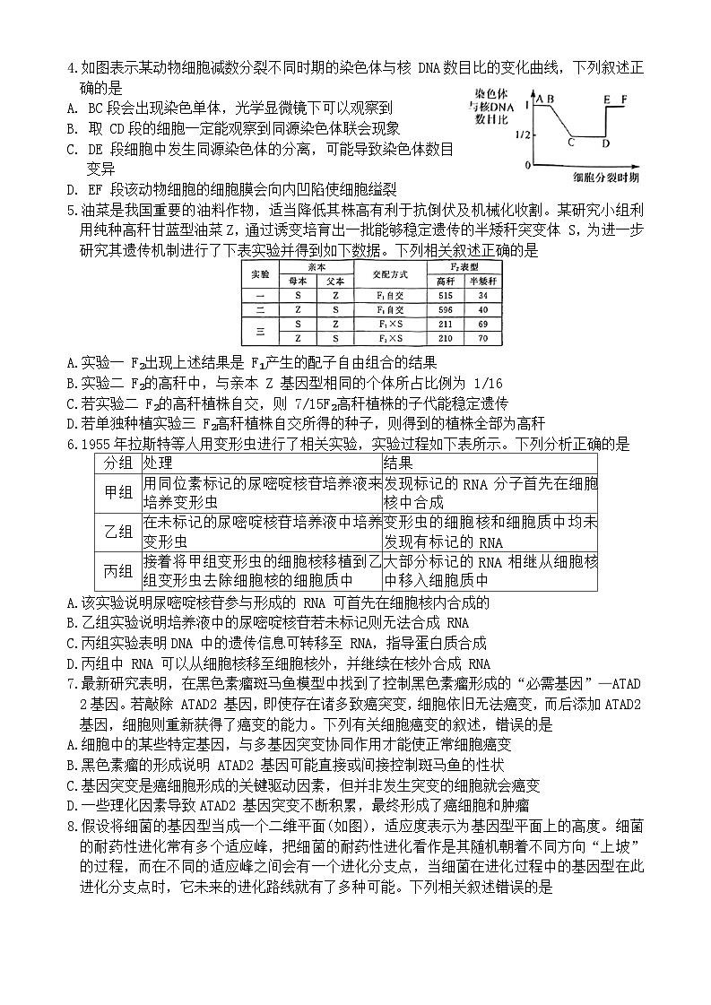 黑龙江省齐齐哈尔市2024届高三下学期2月一模考试 生物 含答案第2页