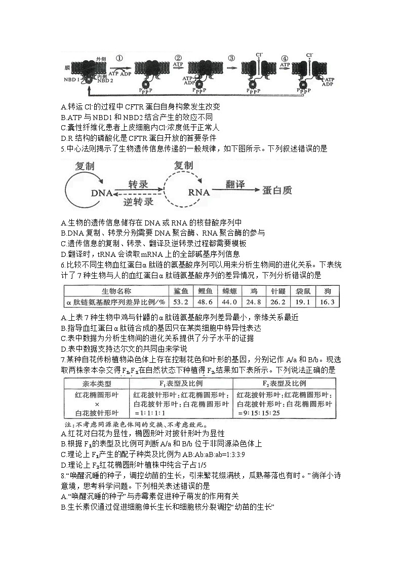 湖北省八市2023-2024学年高三下学期3月联考试题 生物 含解析第2页