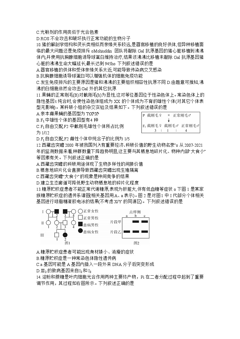 湖北省七市州2024届高三下学期3月联合统一调研测试 生物 含答案第3页