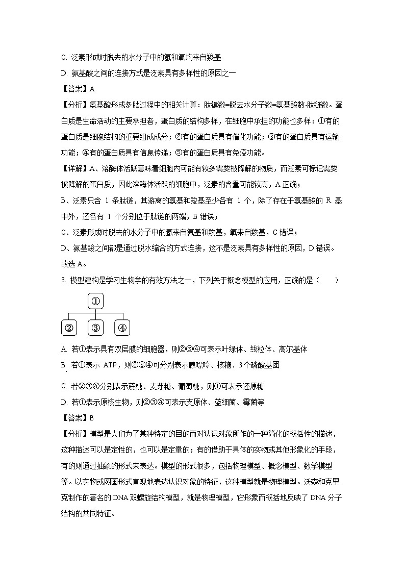 安徽省滁州市2024-2025学年高一下学期3月月考生物试题（解析版）第2页