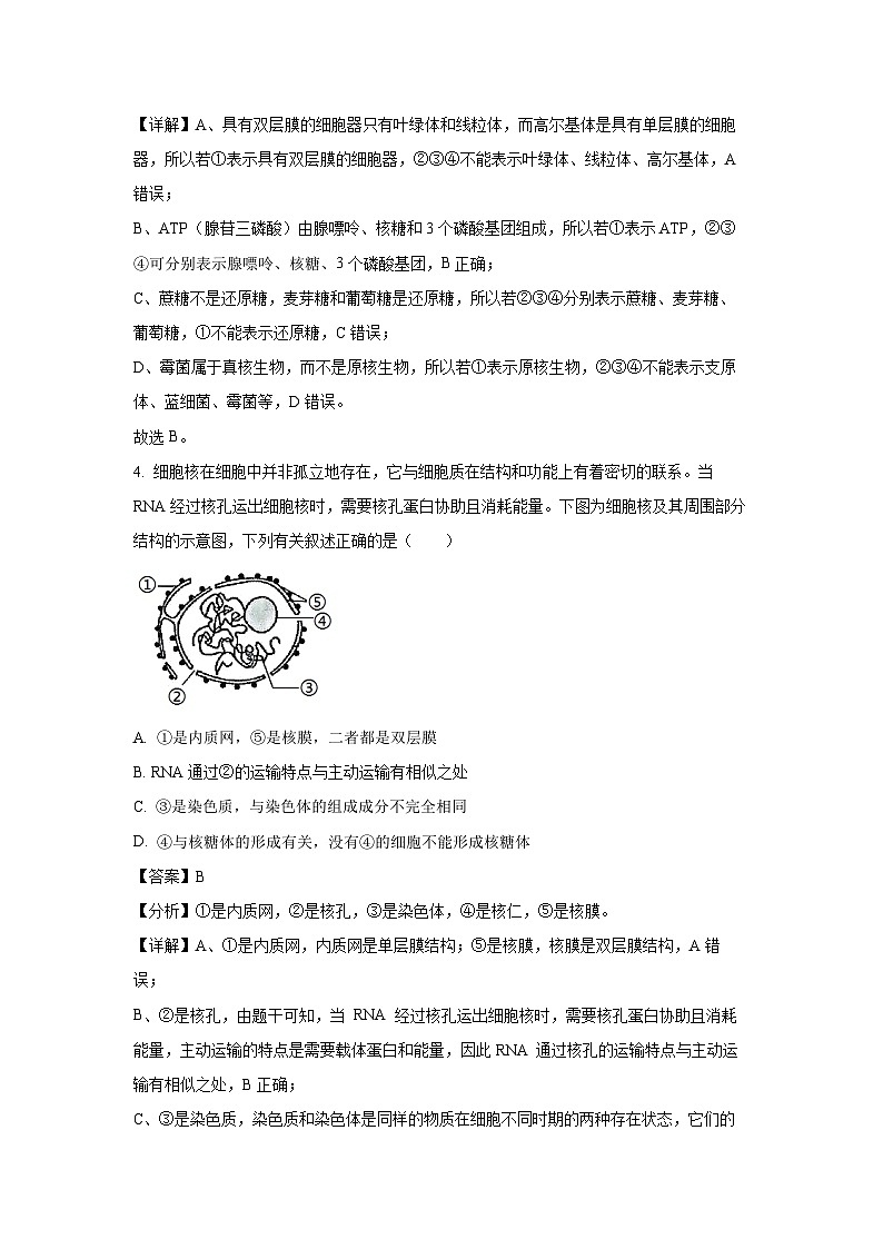 安徽省滁州市2024-2025学年高一下学期3月月考生物试题（解析版）第3页