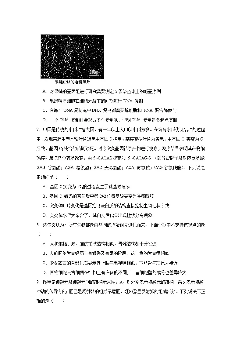 贵州省六校2024-2025学年高三下学期联考生物试题（无答案）第3页