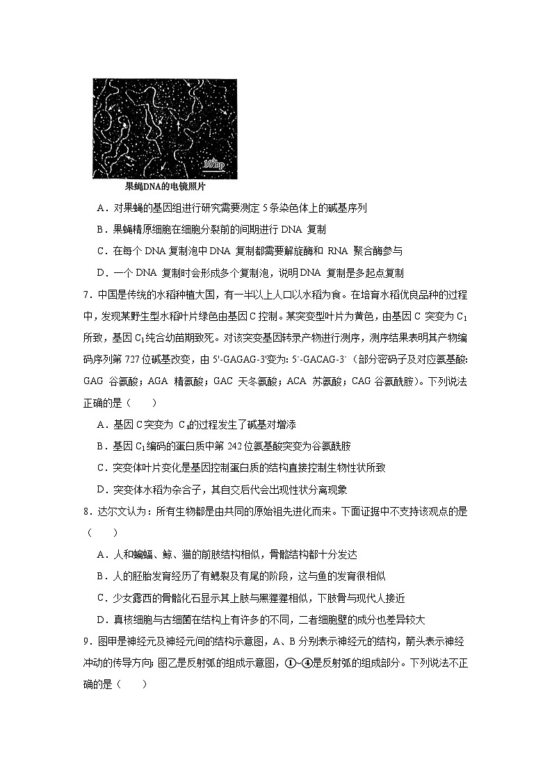 贵州省六校2024-2025学年高三下学期联考生物试题（无答案）第3页