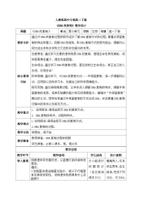 人教版 (2019)必修2《遗传与进化》DNA的复制教学设计