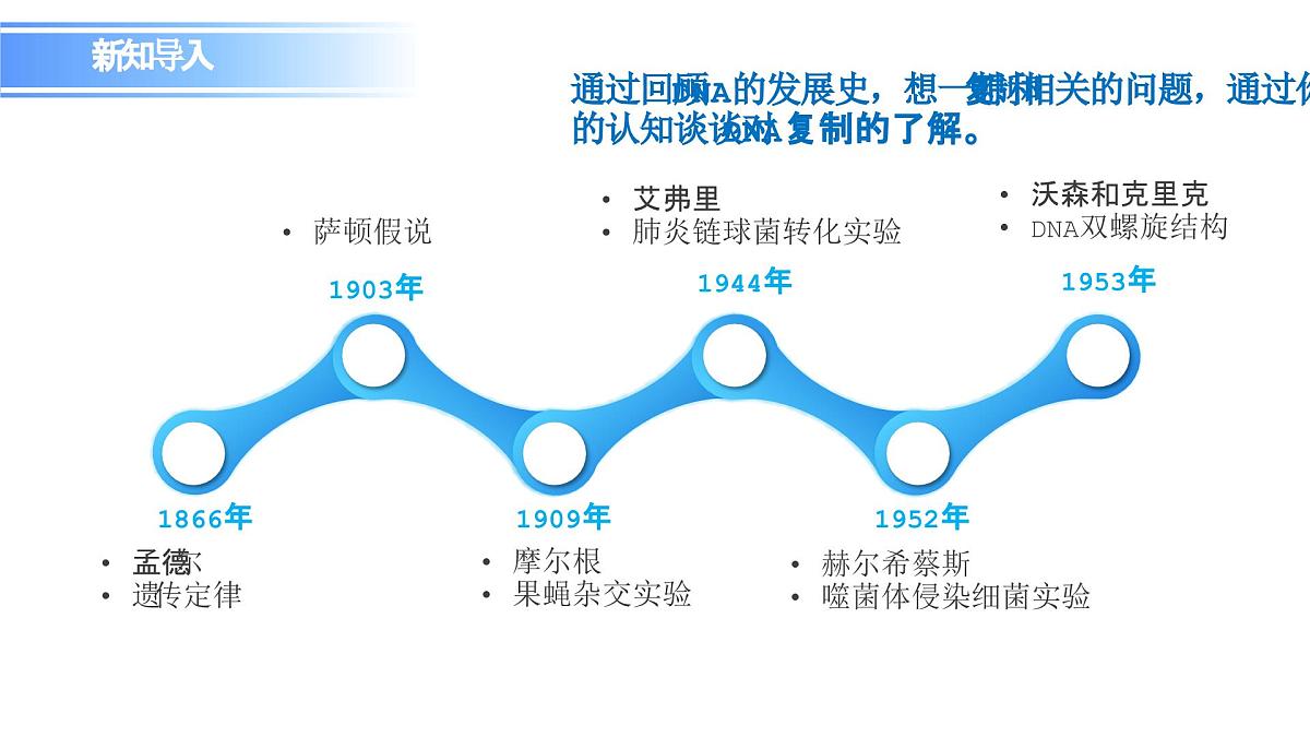 人教版（2019）高中生物必修二第3章基因的本质3.3DNA的复制 课件第2页