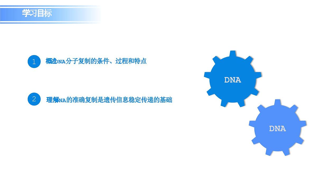 人教版（2019）高中生物必修二第3章基因的本质3.3DNA的复制 课件第3页
