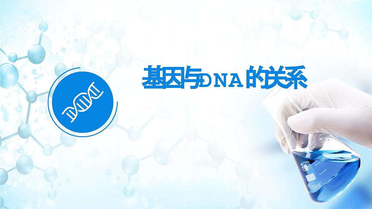 人教版（2019）高中生物必修二第3章基因的本质3.4基因通常是有遗传效应的DNA片段 课件第5页