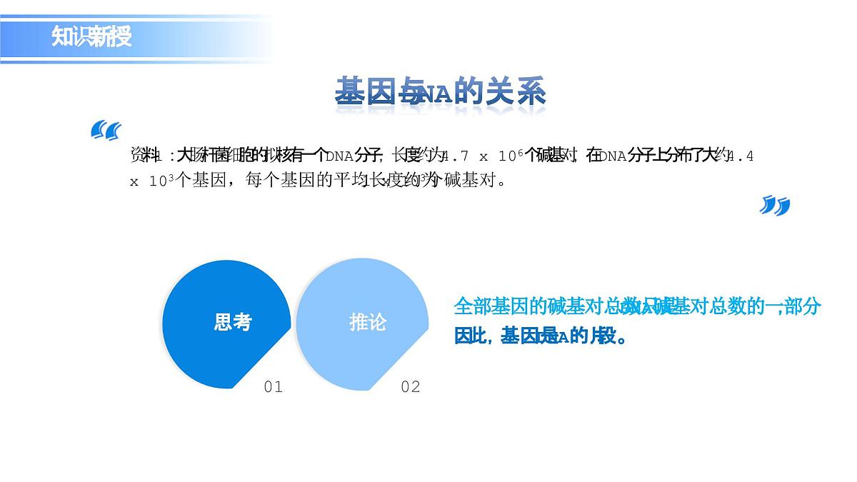 人教版（2019）高中生物必修二第3章基因的本质3.4基因通常是有遗传效应的DNA片段 课件第7页
