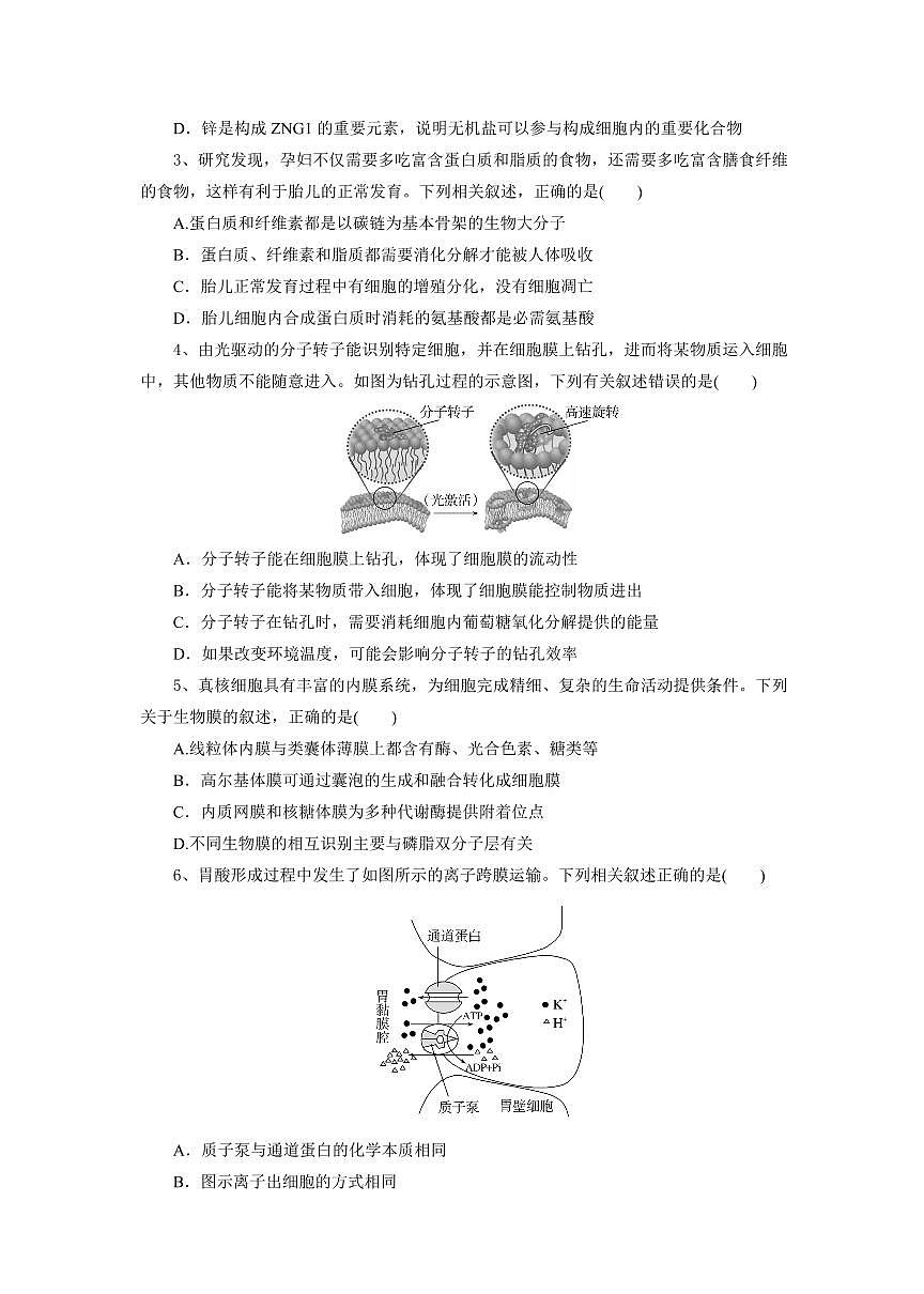 湖北省部分高中协作体2024-2025学年高一下学期4月期中联考生物试题第2页