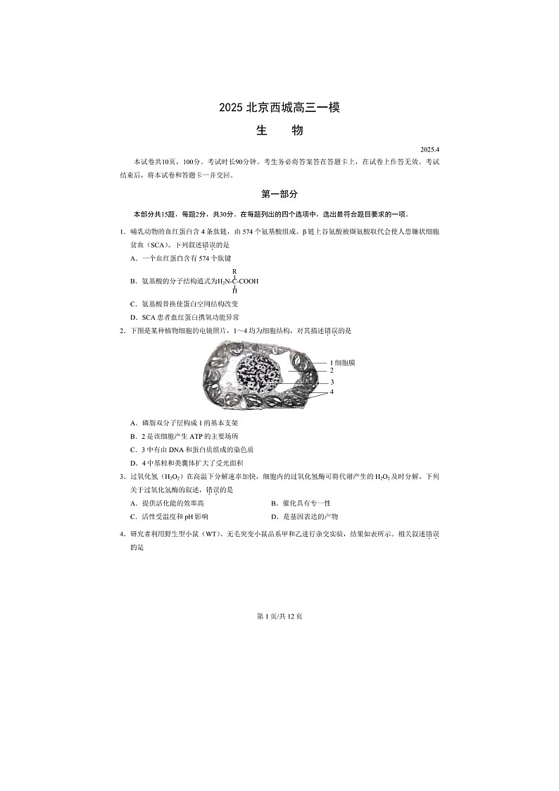 北京市西城区2025年高三一模考试生物试卷含答案第1页
