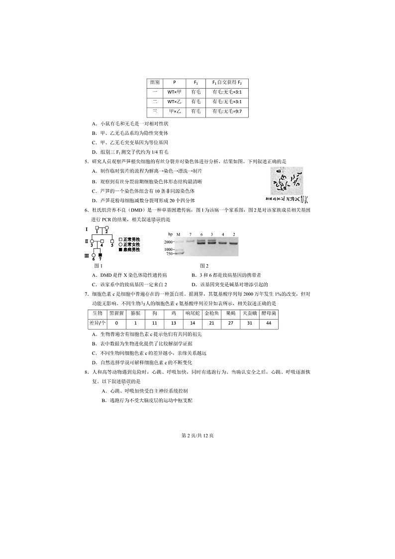 北京市西城区2025年高三一模考试生物试卷含答案第2页