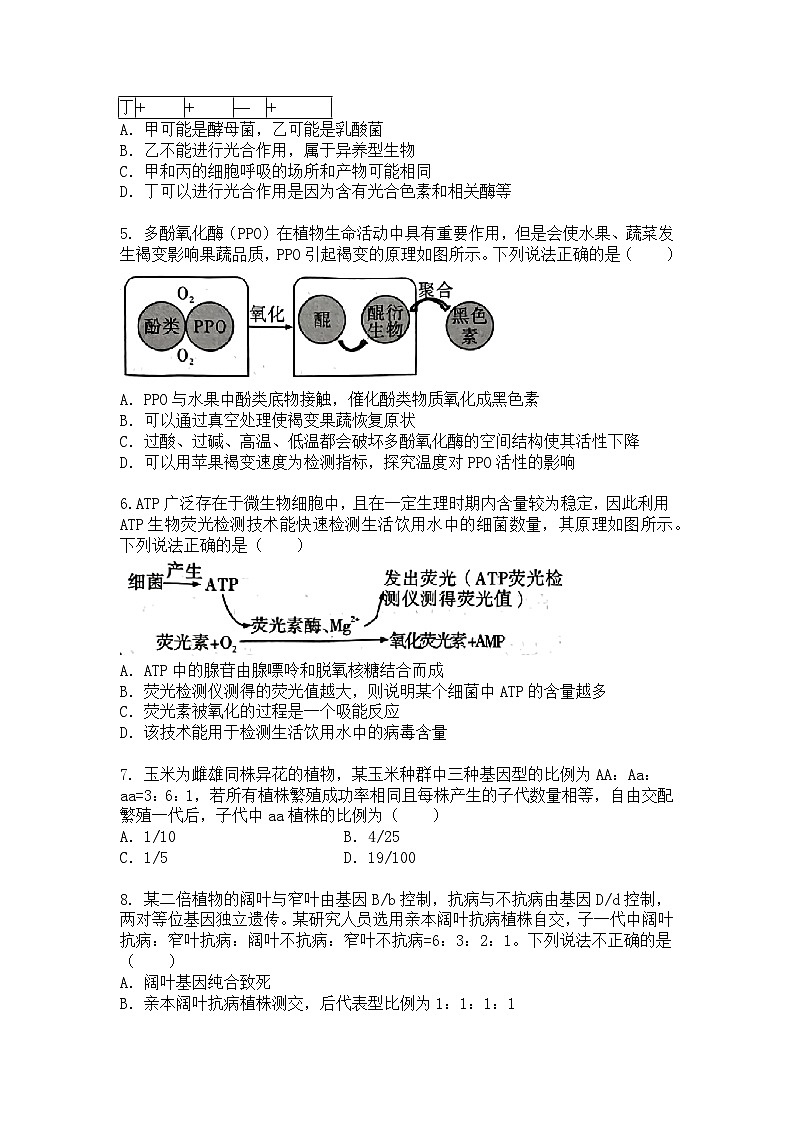 湖南省名校联考2024-2025学年高一下学期期中考试生物试题+答案第2页