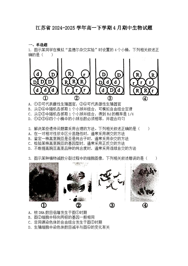 江苏省2024-2025学年高一下学期4月期中生物试题+答案第1页