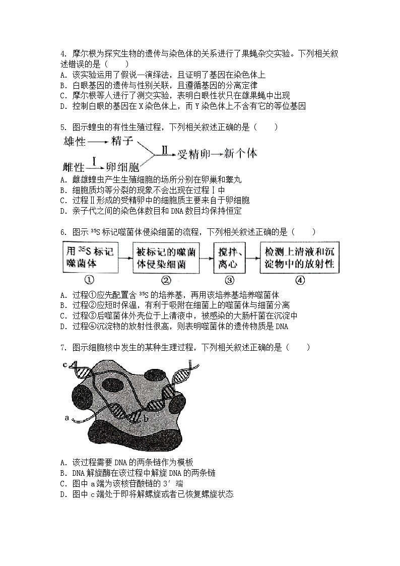 江苏省2024-2025学年高一下学期4月期中生物试题+答案第2页