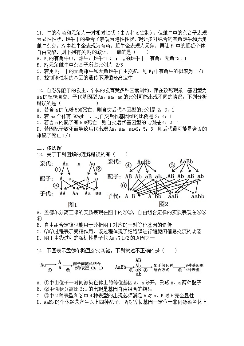 江西省2024-2025学年高一下学期4月期中生物试题+答案第3页