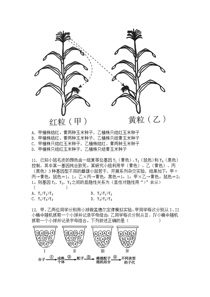 四川省内江市威远中学校2024-2025学年高一下学期期中考试生物试题+答案第3页
