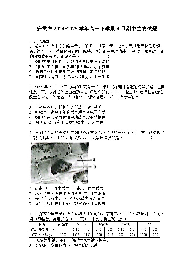 安徽省2024-2025学年高一下学期4月期中生物试题+答案第1页
