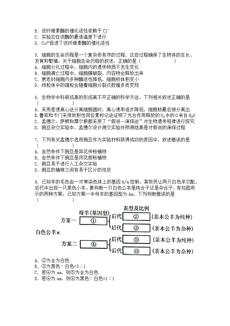 安徽省2024-2025学年高一下学期4月期中生物试题+答案第2页