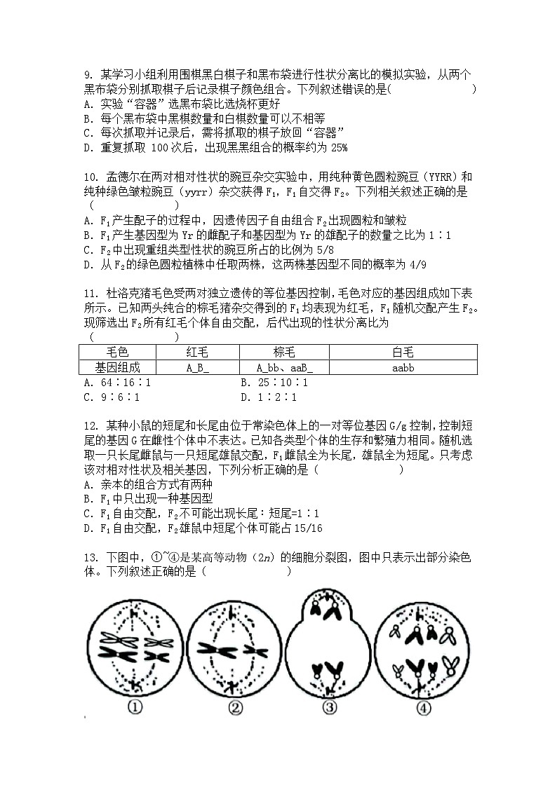 安徽省2024-2025学年高一下学期4月期中生物试题+答案第3页