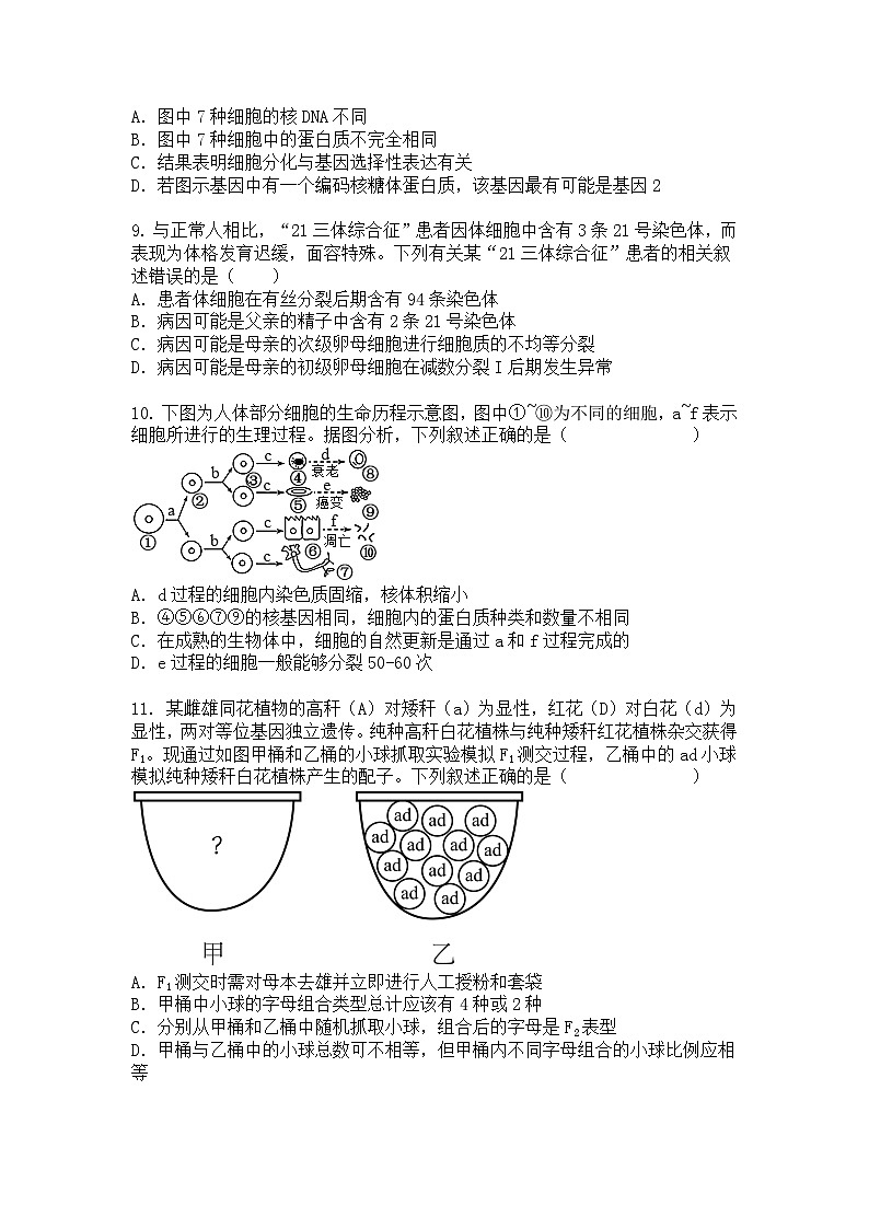海南省2024-2025学年高一下学期期中模拟考试生物试题+答案第3页