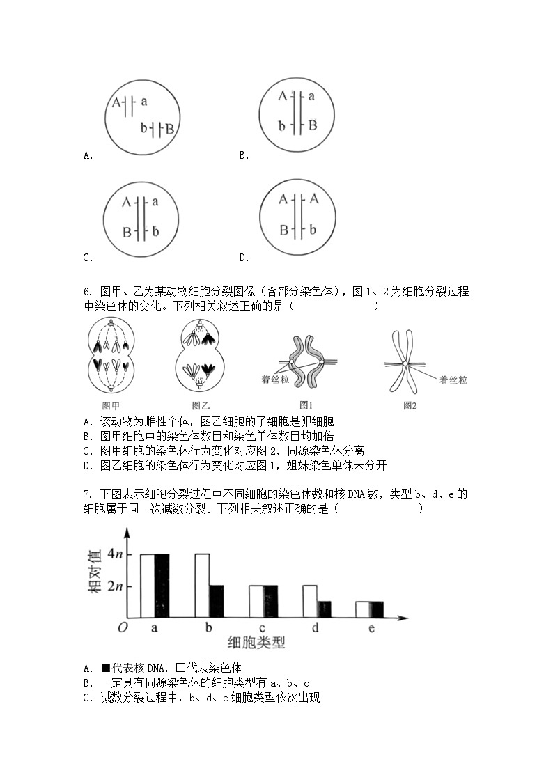 河南省2024-2025学年高一下学期4月期中生物试题+答案第2页