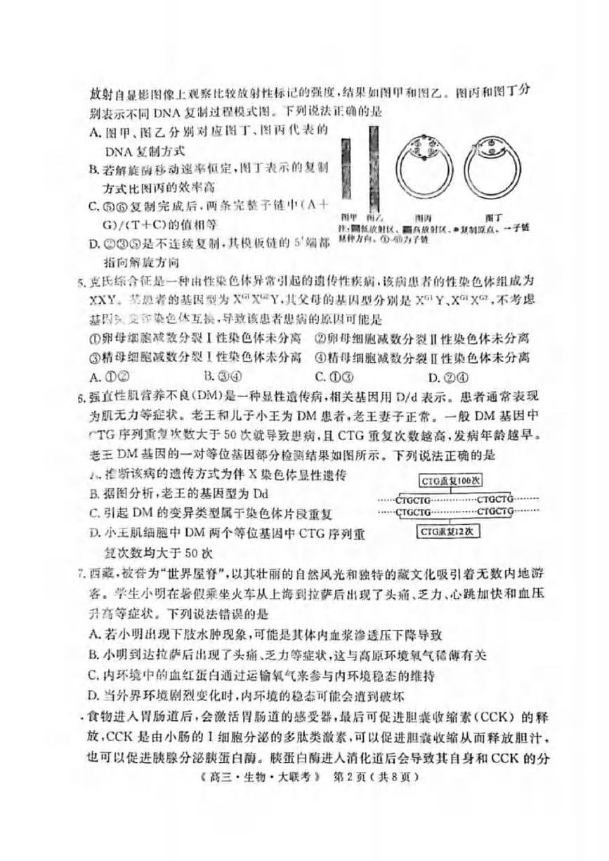 生物丨H20高中联盟2025届高三下学期4月联考生物试卷及答案第2页