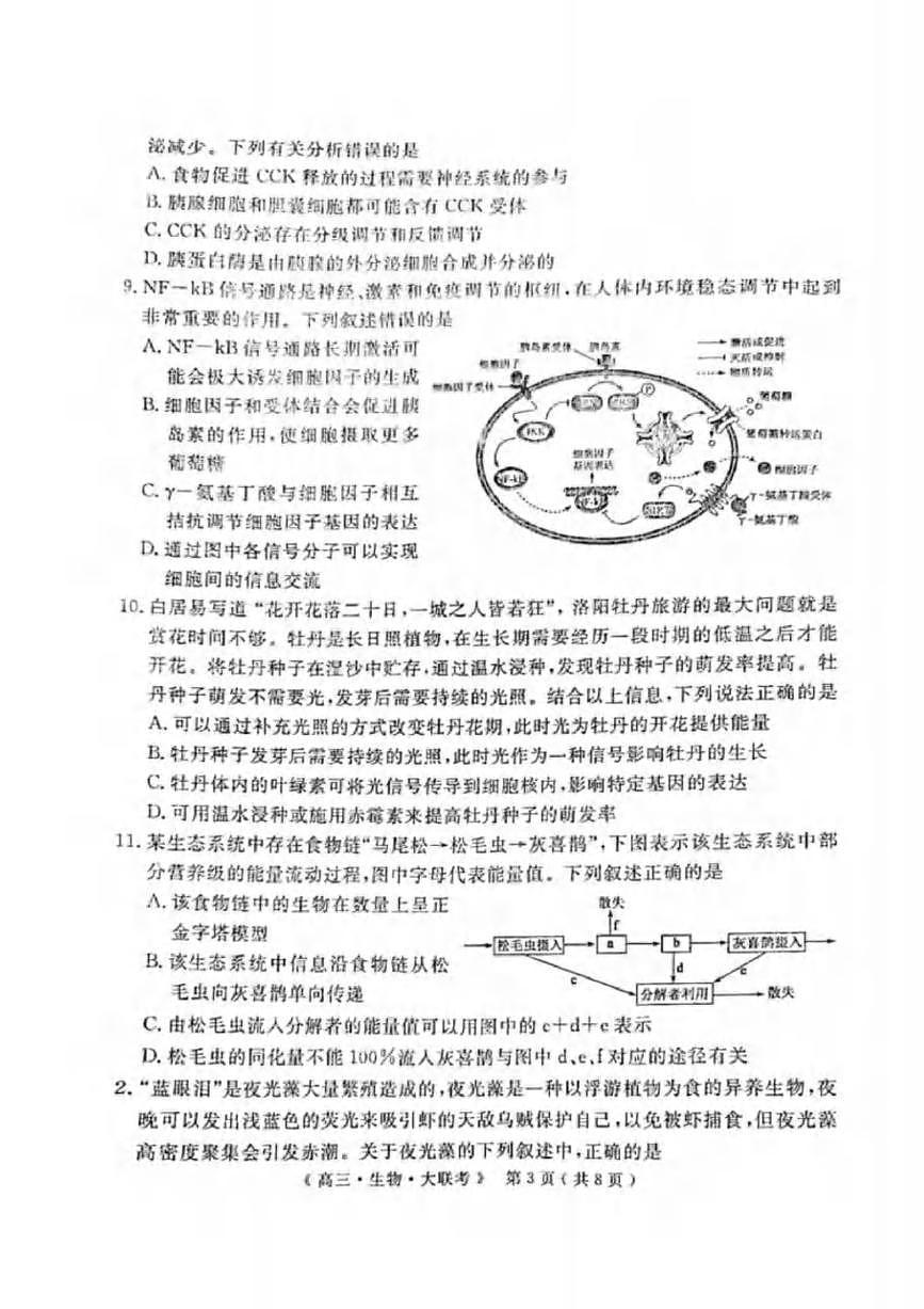生物丨H20高中联盟2025届高三下学期4月联考生物试卷及答案第3页