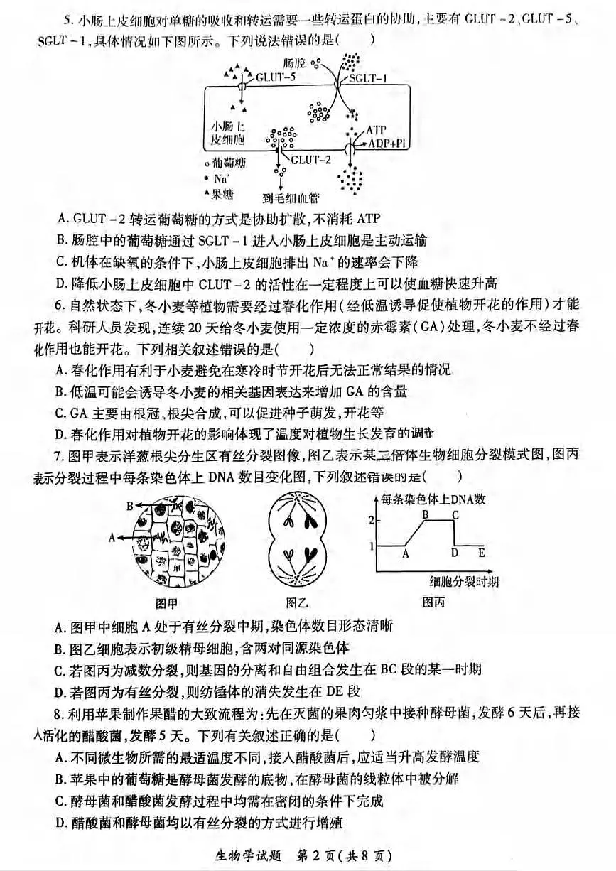 生物丨陕西省高考适应性检测（三）2025届高三下学期4月联考生物试卷及答案第2页