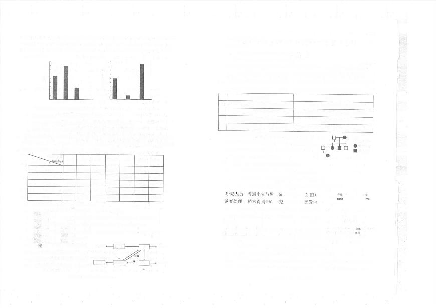 生物丨四川省南充市2025届高三下学期4月高考适应性考试（南充三诊）生物试卷及答案第2页