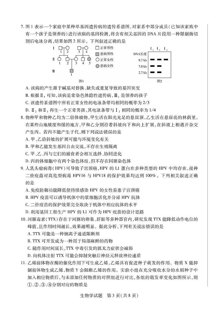 生物丨天一小高考2025届高三下学期4月第三次考试生物试卷及答案第3页