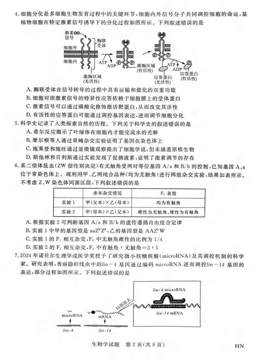 生物丨新未来金科大联考河南省、河北省、山西省2025届高三下学期4月质量检测生物试卷及答案第2页