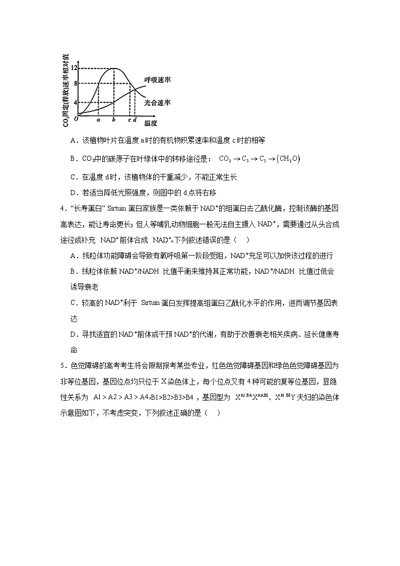 2025届安徽省江淮十校高三下学期4月第三次联考生物试题（无答案）第2页