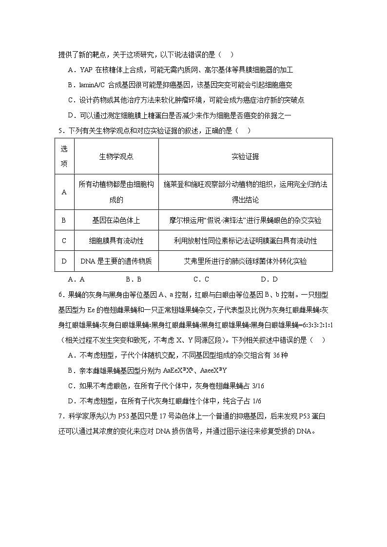 2025届安徽省皖南八校高三下学期第三次联考生物试卷（无答案）第2页