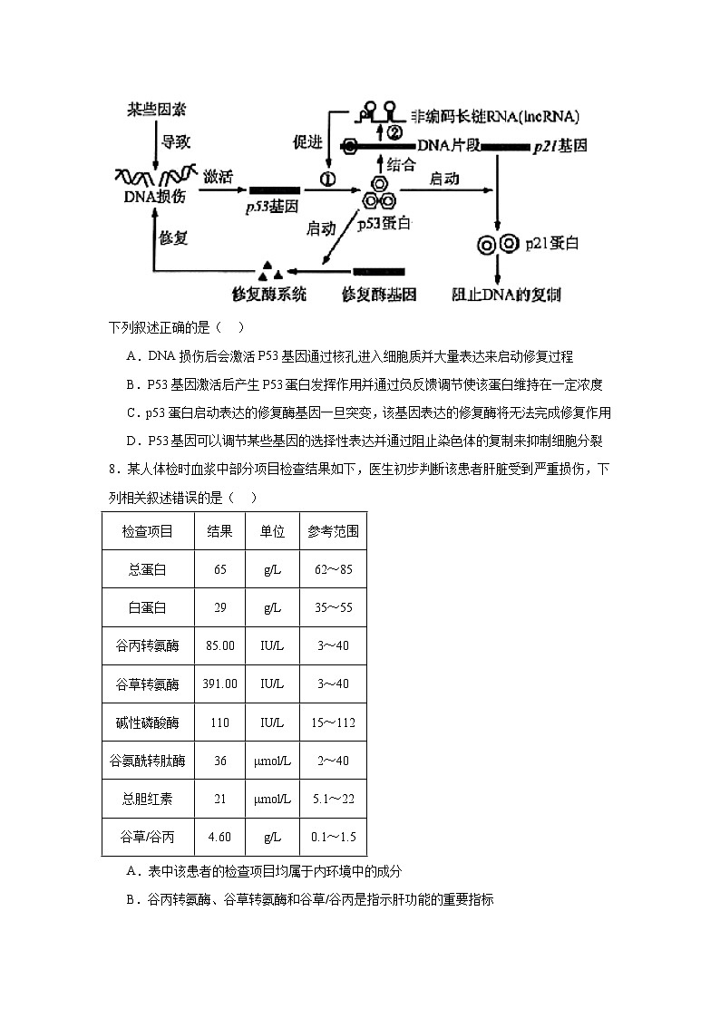 2025届安徽省皖南八校高三下学期第三次联考生物试卷（无答案）第3页