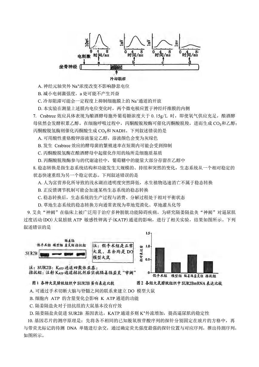 生物丨湖南省岳阳市2025届高三下学期4月教学质量监测（二）（岳阳二模）生物试卷及答案第2页
