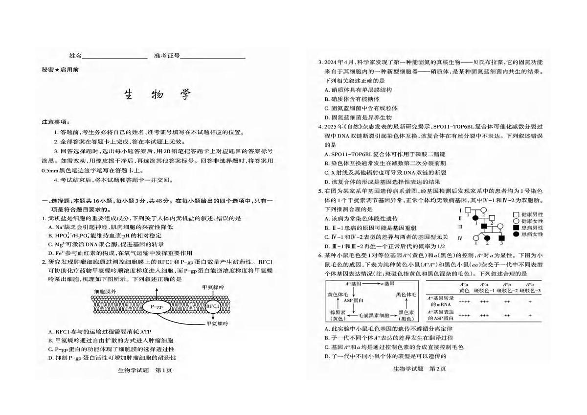 生物丨山西省2025年高考考前适应性测试（冲刺卷）（山西二模）生物试卷及答案第1页