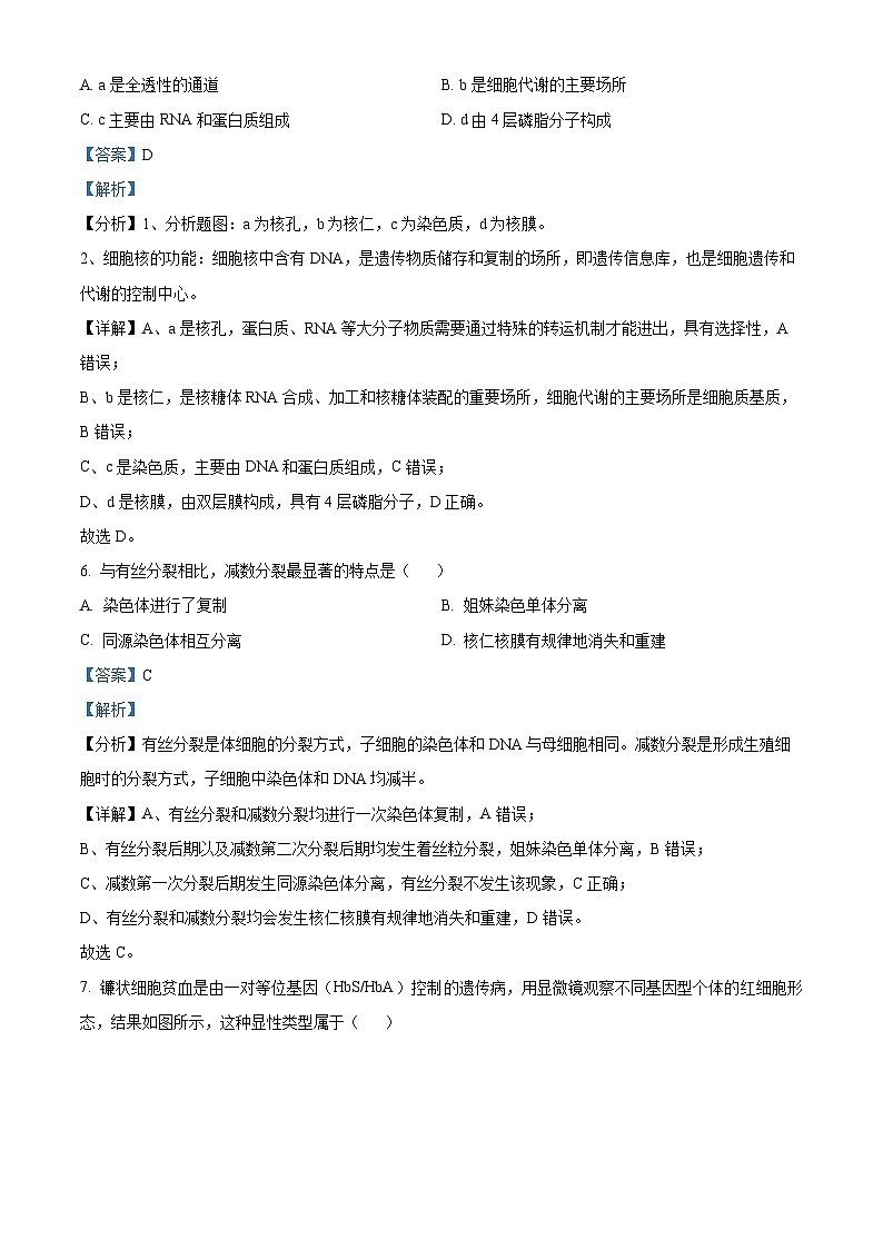 浙江省强基联盟2024-2025学年高一下学期3月月考生物试题  含解析第3页