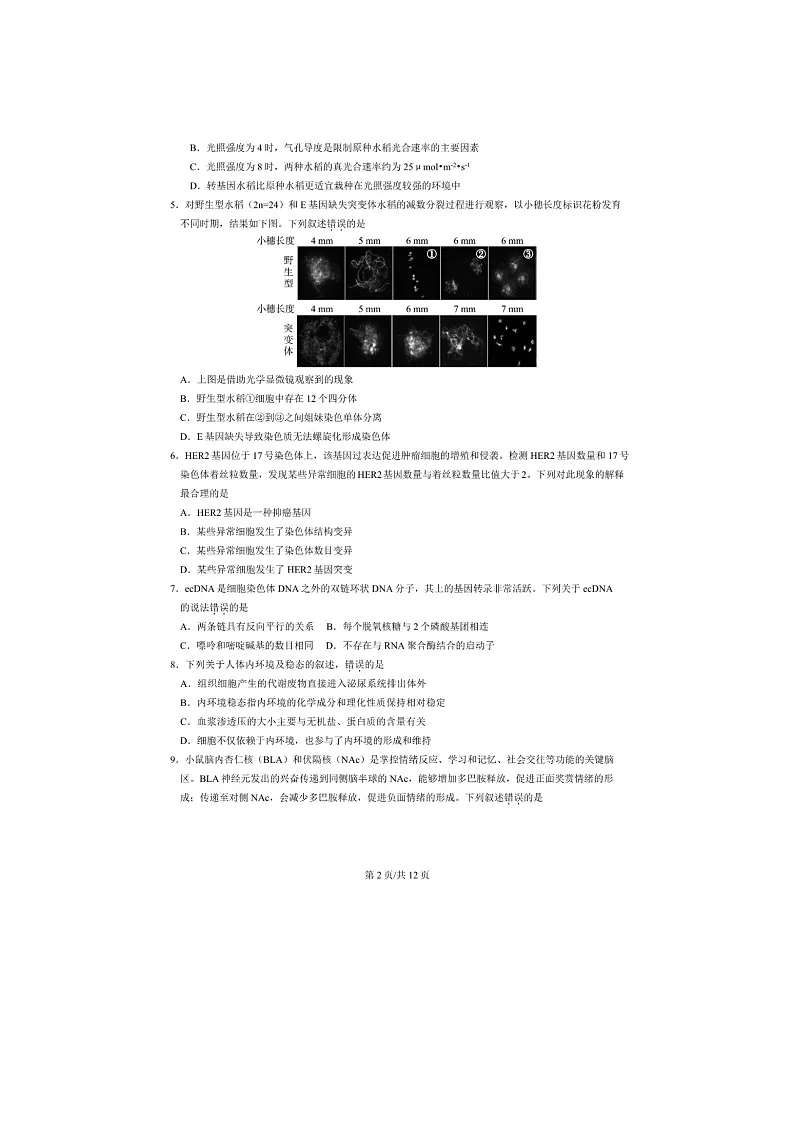北京市东城区2025年高三一模考试生物试卷含答案第2页