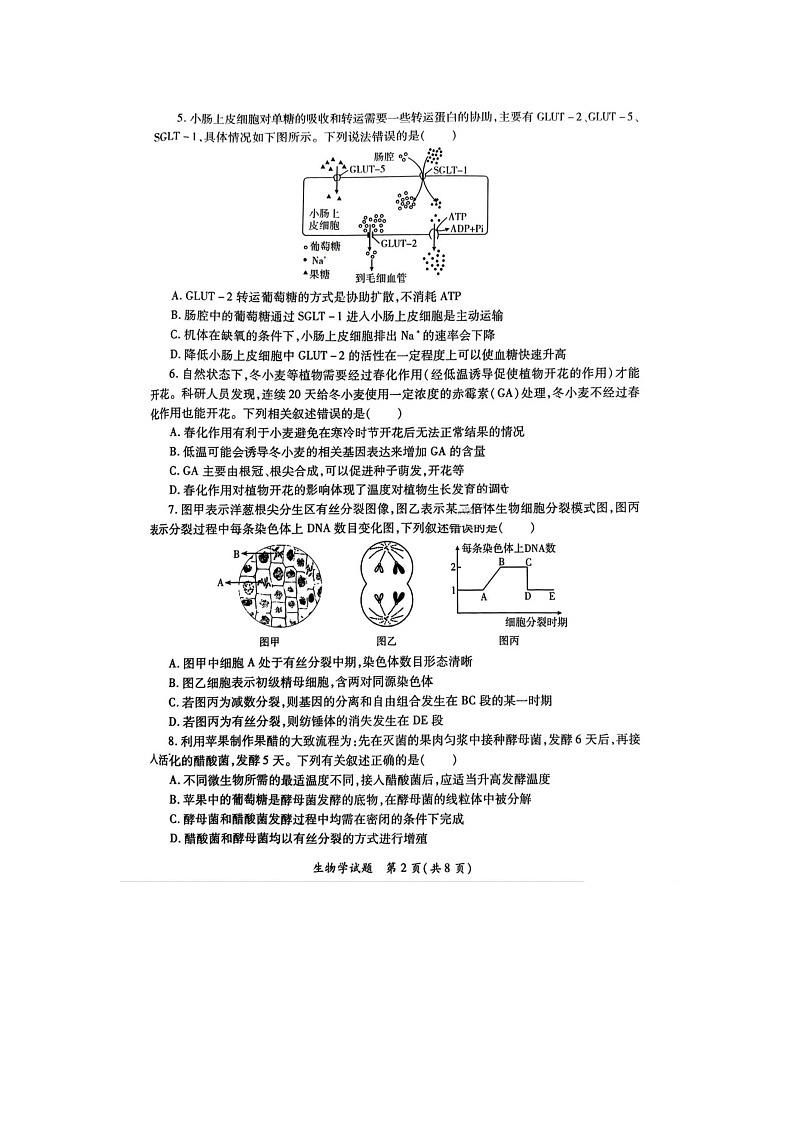 陕西省2025届高考适应性检测（三）考试生物试卷含答案第2页