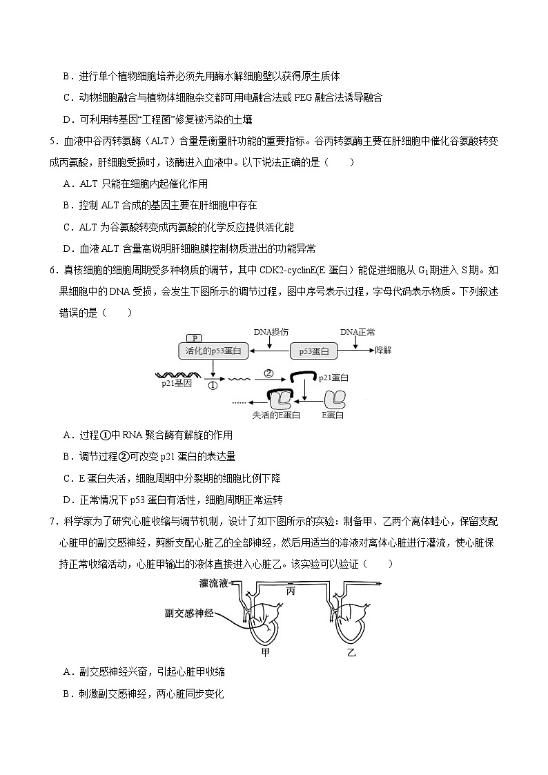2025年高考第二次模拟考试：生物（黑吉辽蒙通用）（考试版）第2页