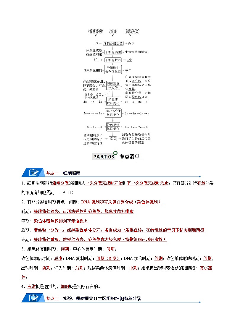 高考生物一轮复习—细胞的增殖和减数分裂（试卷含答案）第2页