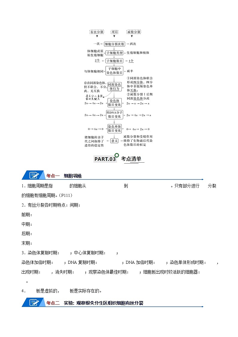 高考生物一轮复习—细胞的增殖和减数分裂（原卷版）第2页