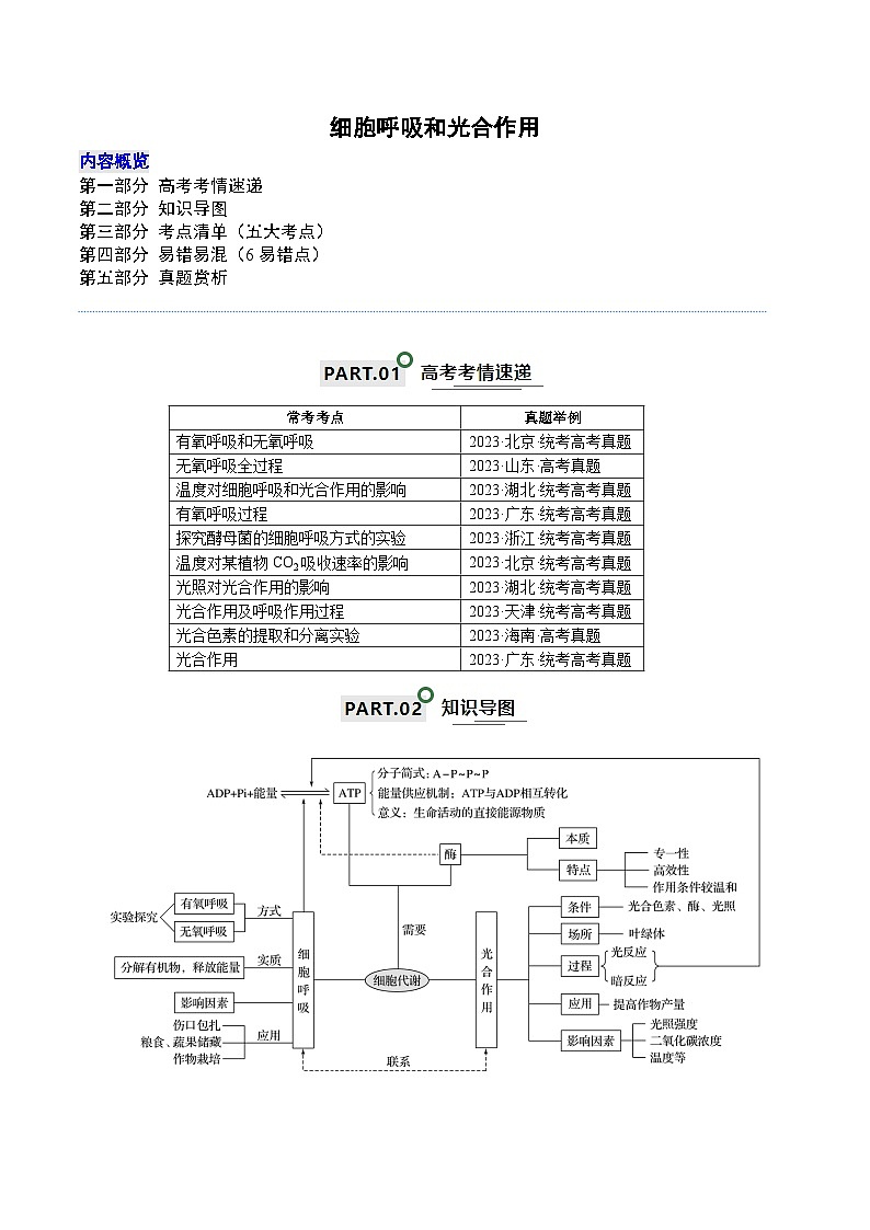 高考生物一轮复习—细胞呼吸和光合作用（原卷版）第1页