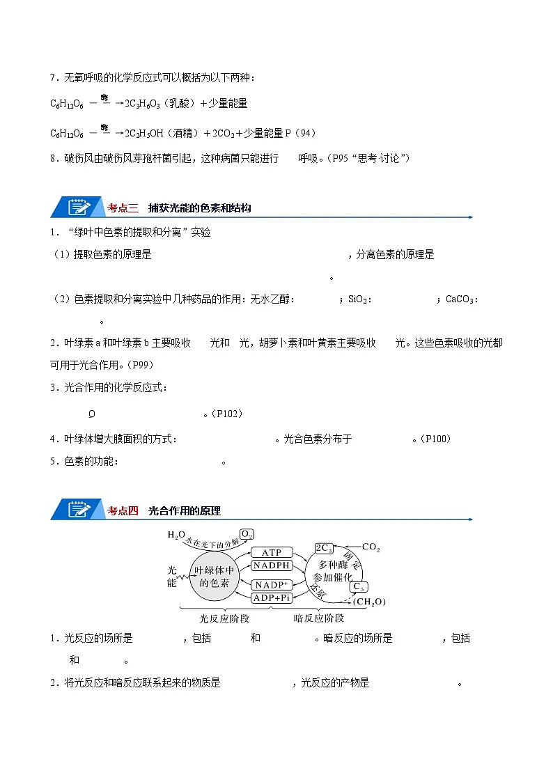 高考生物一轮复习—细胞呼吸和光合作用（原卷版）第3页