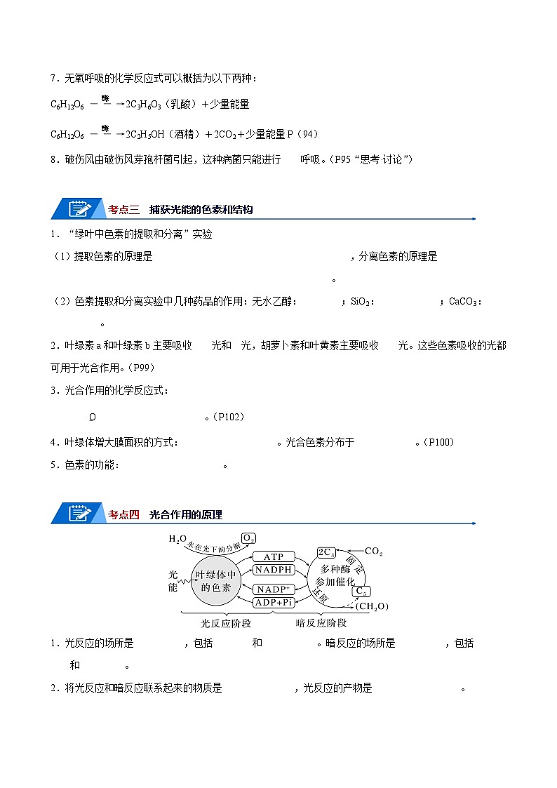 高考生物一轮复习—细胞呼吸和光合作用（原卷版）第3页