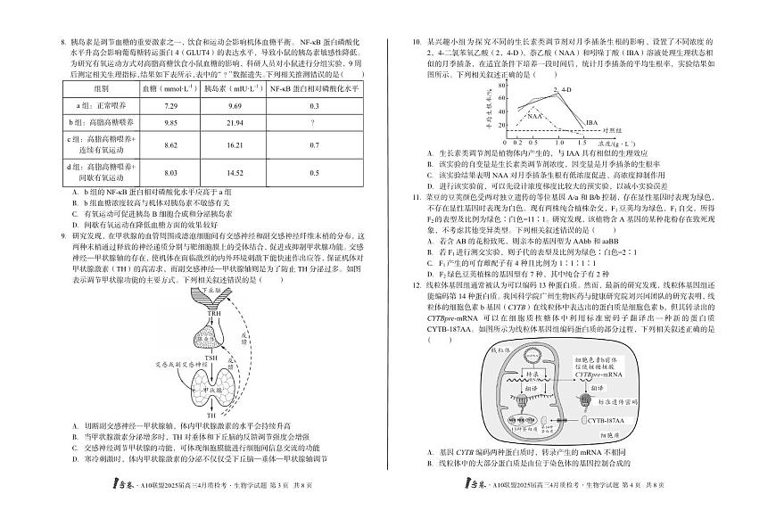 安徽省A10联盟2025届高三下学期4月联考-生物试题+答案第2页