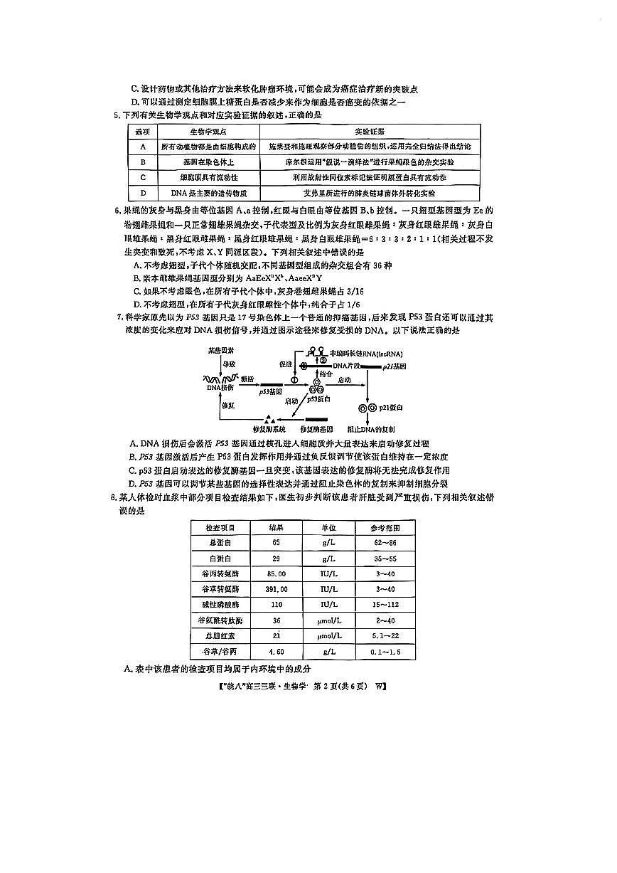 安徽省皖南八校2025届高三下学期4月联考-生物试题+答案第2页