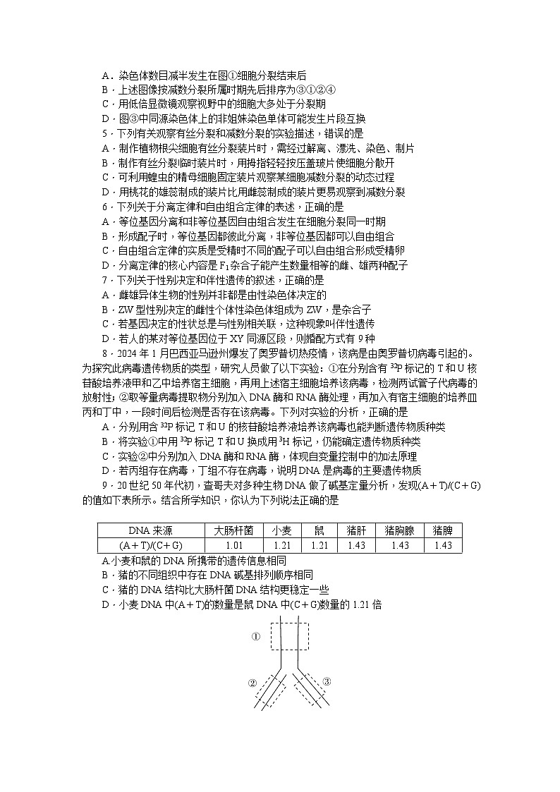 附中高一（2期）期中生物第2页