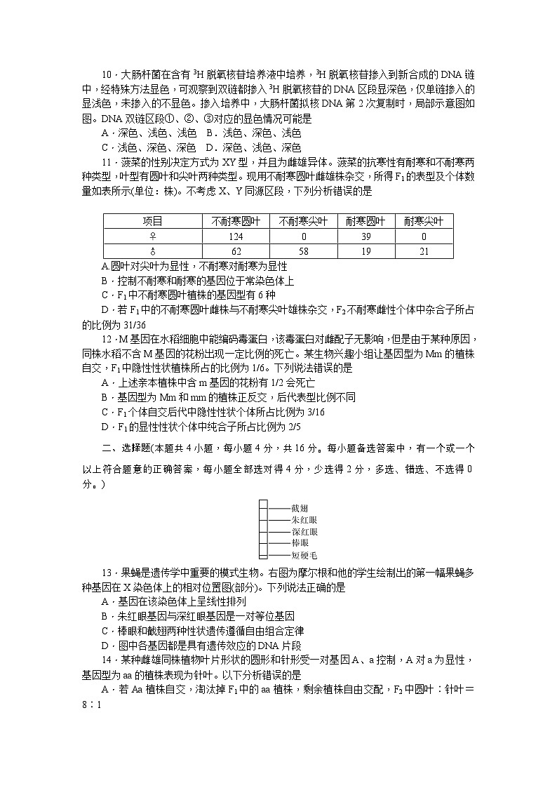 附中高一（2期）期中生物第3页