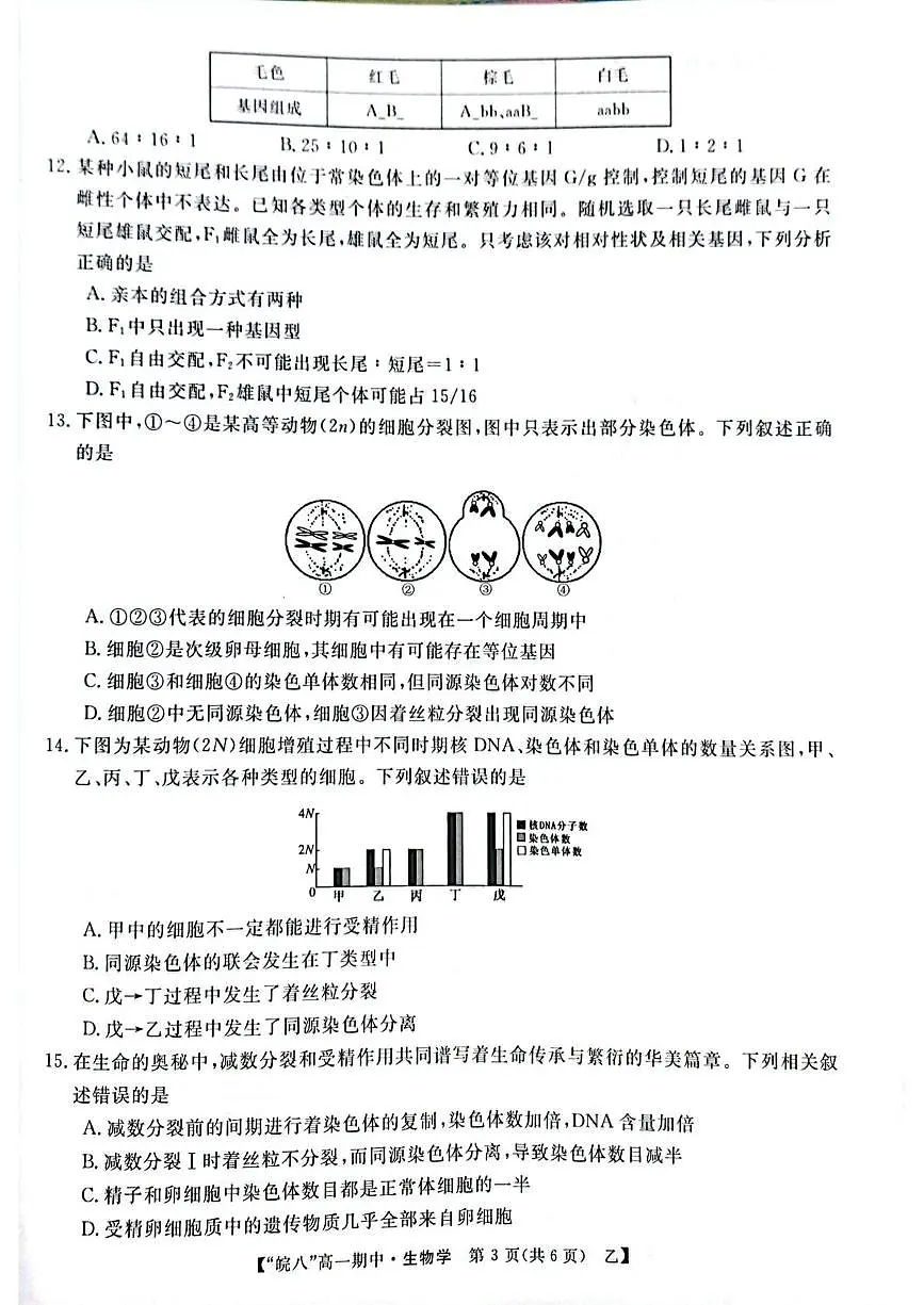 安徽省皖南八校2024-2025学年高一下学期4月期中考试生物（甲卷）试题（PDF版附解析）第3页
